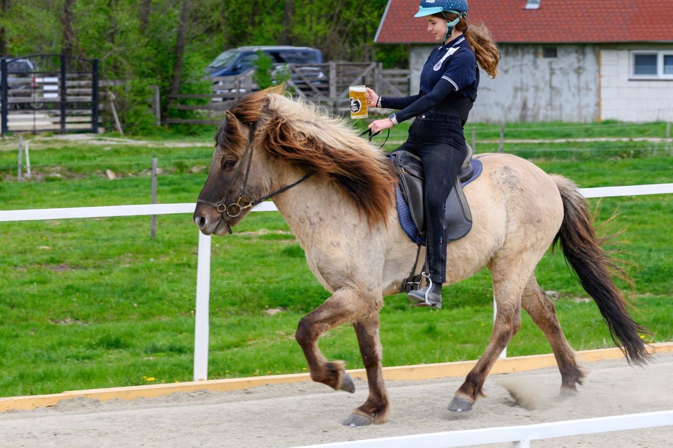 &bullet;  Fotó: Ivói Izlandi Lovarda