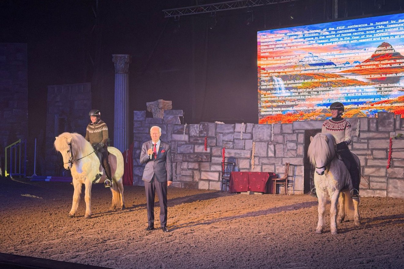 &bullet;  Fotó: Ivói Izlandi Lovarda