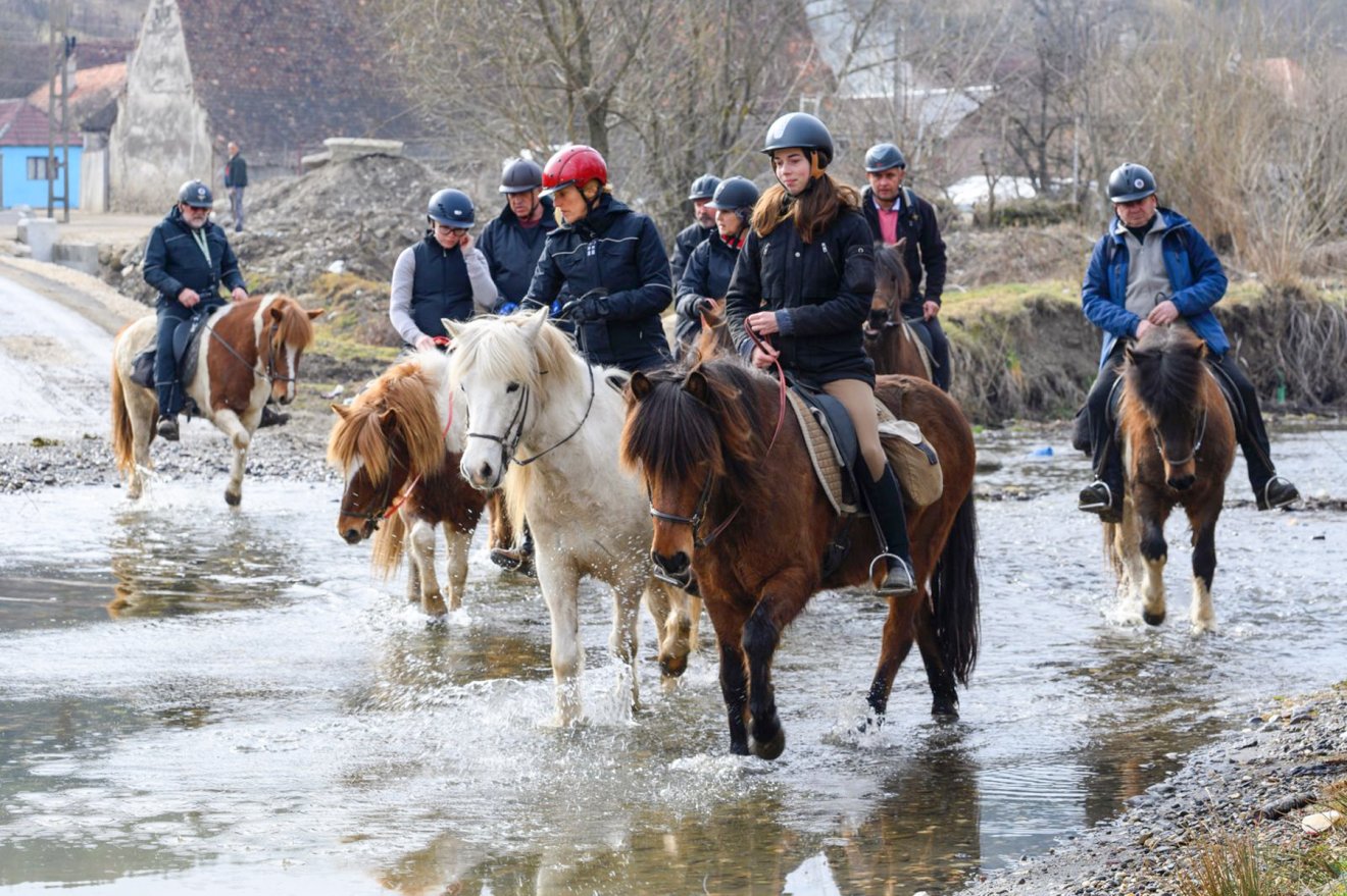 &bullet;  Fotó: Ivói Izlandi Lovarda