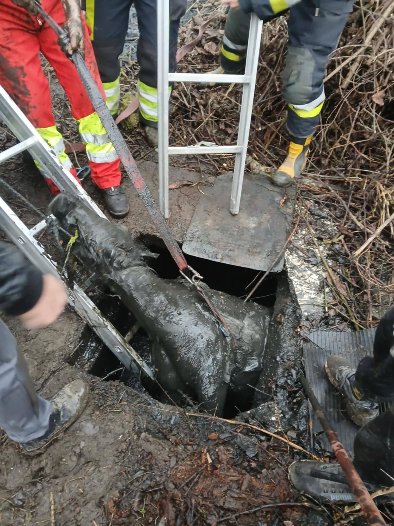 &bullet;  Fotó: Székelykeresztúri Villám-Fulger Önkéntes Tűzoltó Egyesület