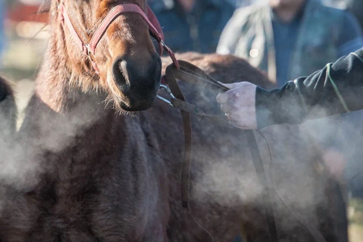 Képünk illusztráció &bullet;  Fotó: Kristó Róbert