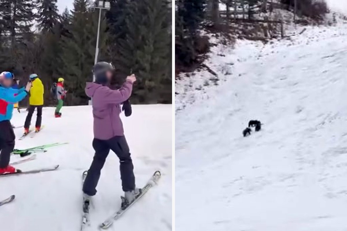 &bullet;  Fotó: Román Csendőrség