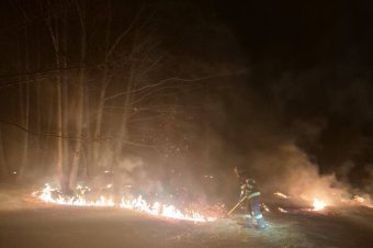 Még ki sem tavaszodott, de már tarlótüzet is oltottak a Maros megyei tűzoltók