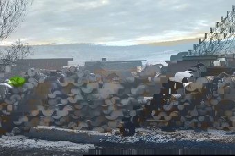 Több mint 90 bírság és közel 423 köbméter elkobzott fa – nagyszabású ellenőrzések zajlottak Hargita megyében