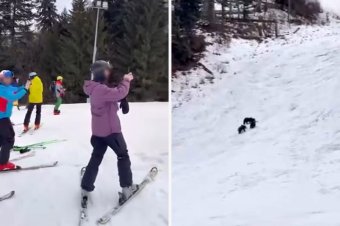 Filmezték a sízők a pályára merészkedett bocsos anyamedvét – videóval