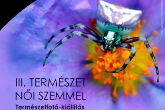 Természet női szemmel