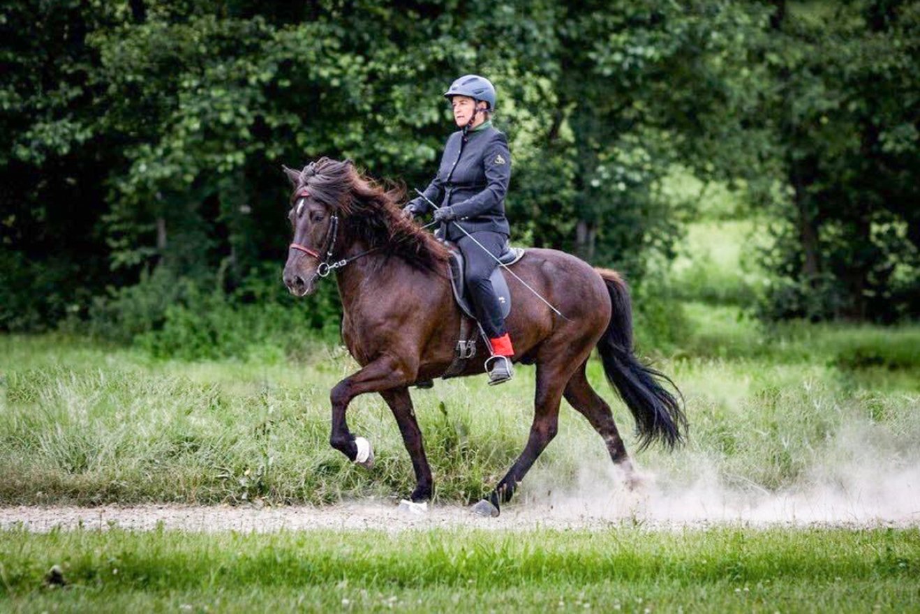 Képernyők helyett patadobogás – különleges lovas élmény Ivóban