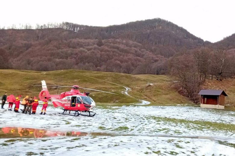 Vaddisznó támadt egy emberre, sok vért veszített az áldozat