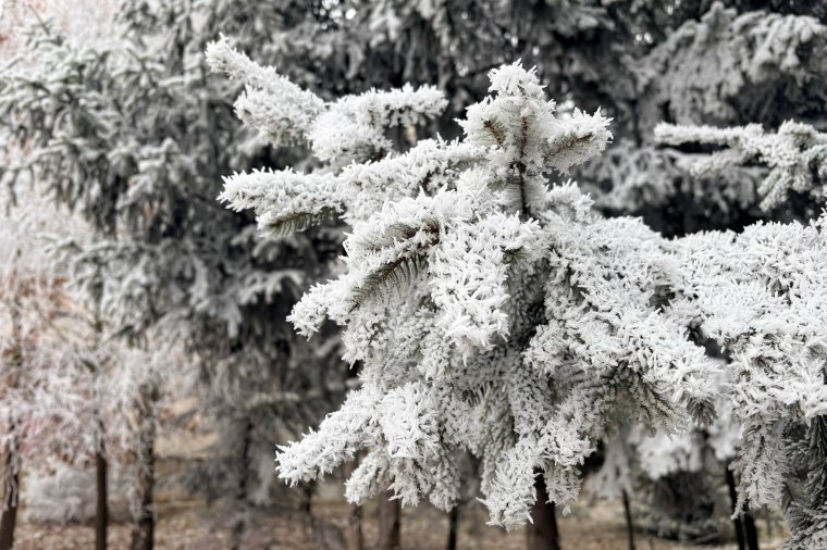 Szilveszterkor mindenhol fagyra kell számítani, van, ahol havazni is fog