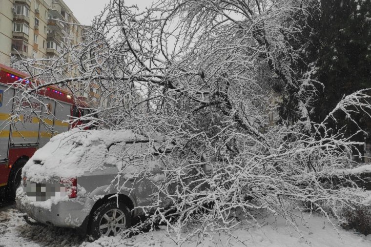 Kidőlt fák, szünetelő áramszolgáltatás – Maros megyében is károkat okozott a havazás
