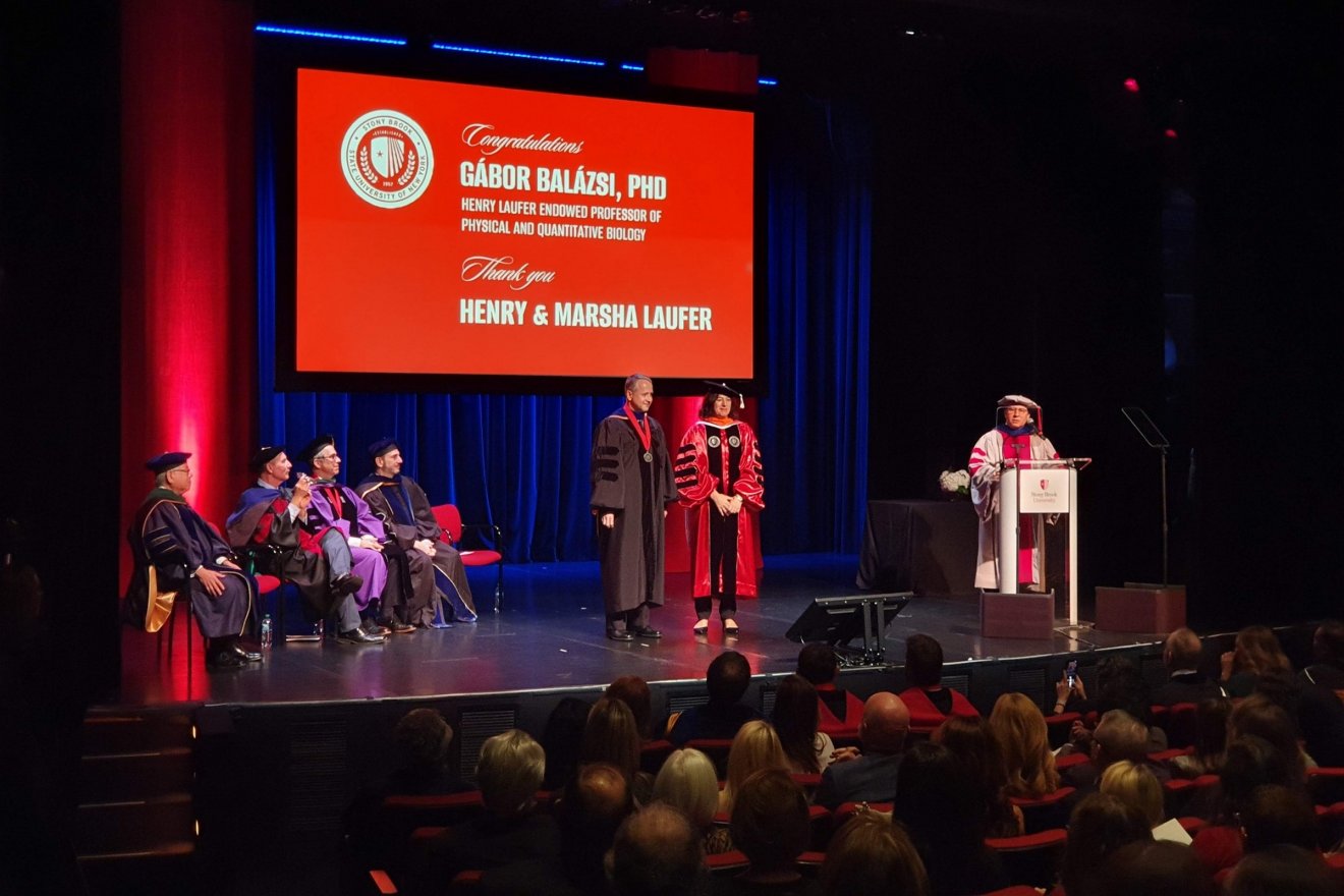 2014 óta a fizikai és kvantitatív biológia Henry Laufer alapítványdíjas professzora