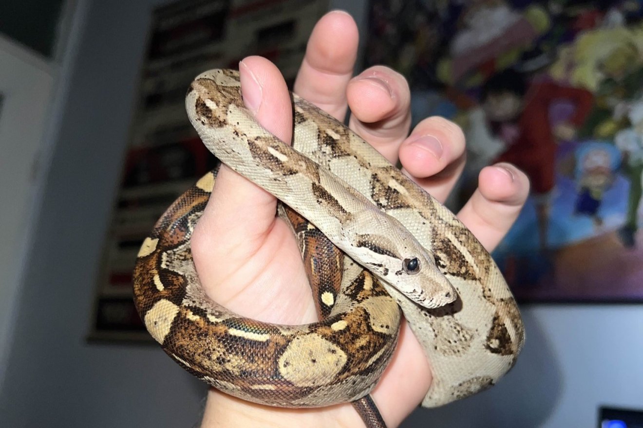 &bullet;  Fotó: Bihar megyei környezetőrség