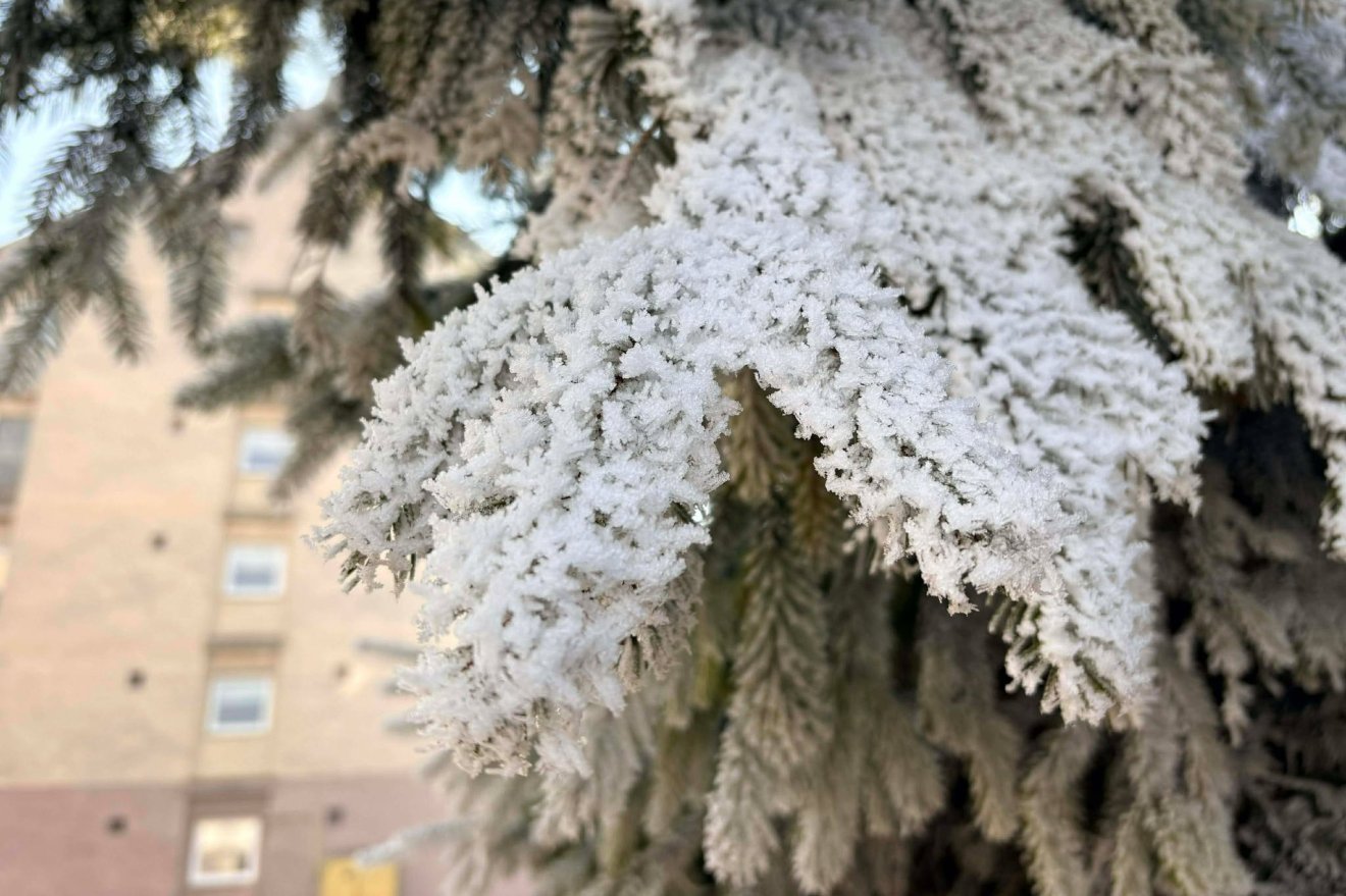 &bullet;  Fotó: Tamás Attila