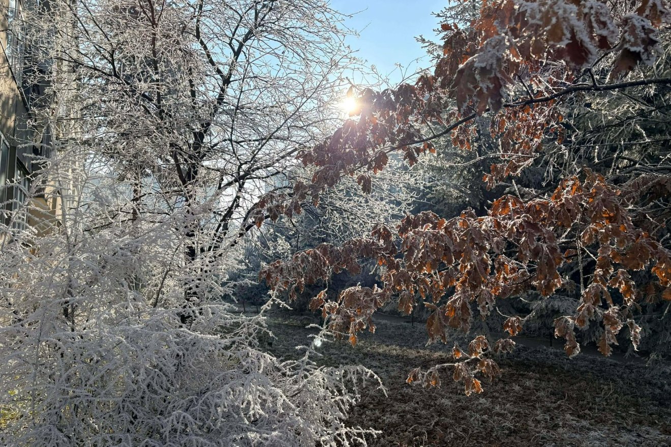 &bullet;  Fotó: Tamás Attila