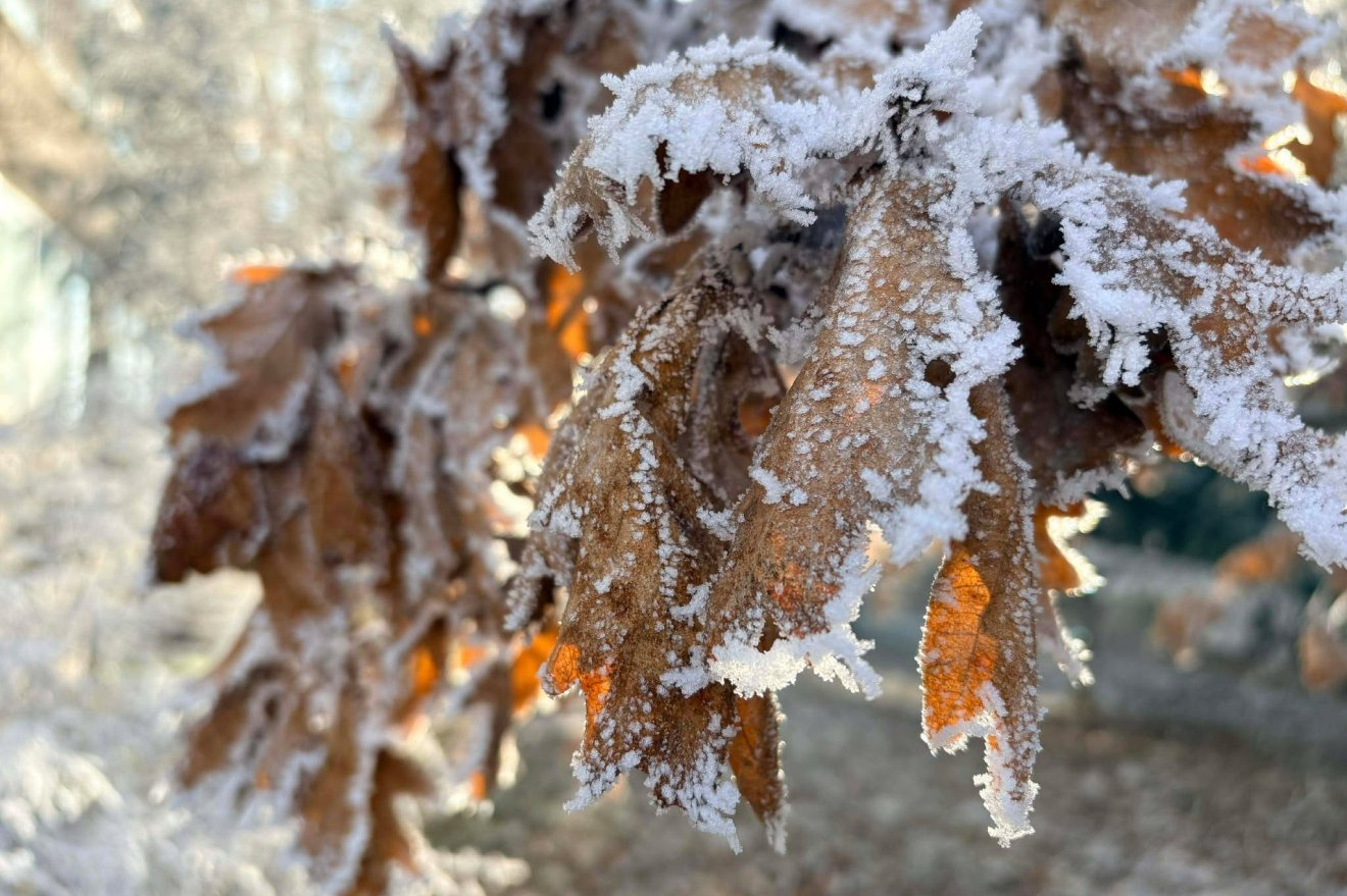 &bullet;  Fotó: Tamás Attila