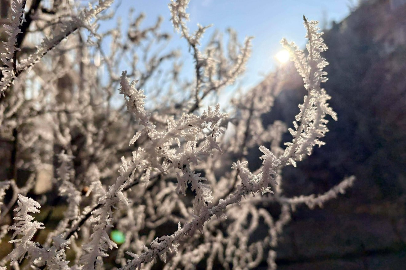 &bullet;  Fotó: Tamás Attila