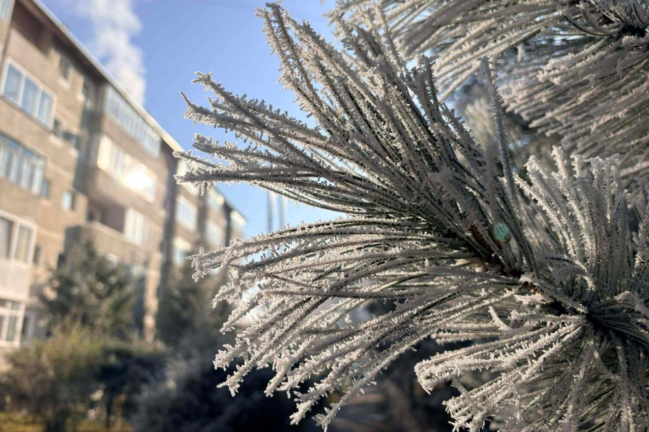 &bullet;  Fotó: Tamás Attila