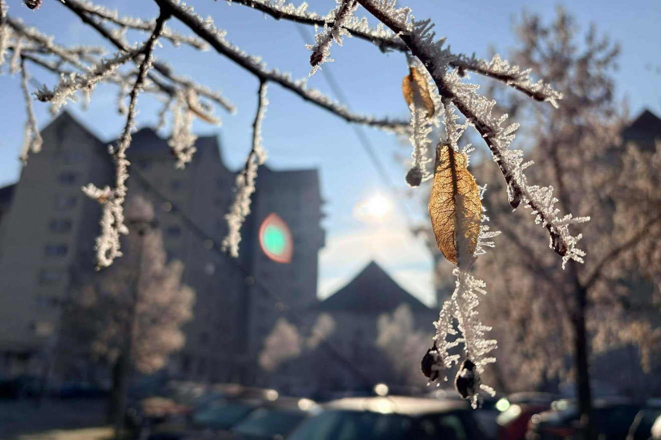 &bullet;  Fotó: Tamás Attila