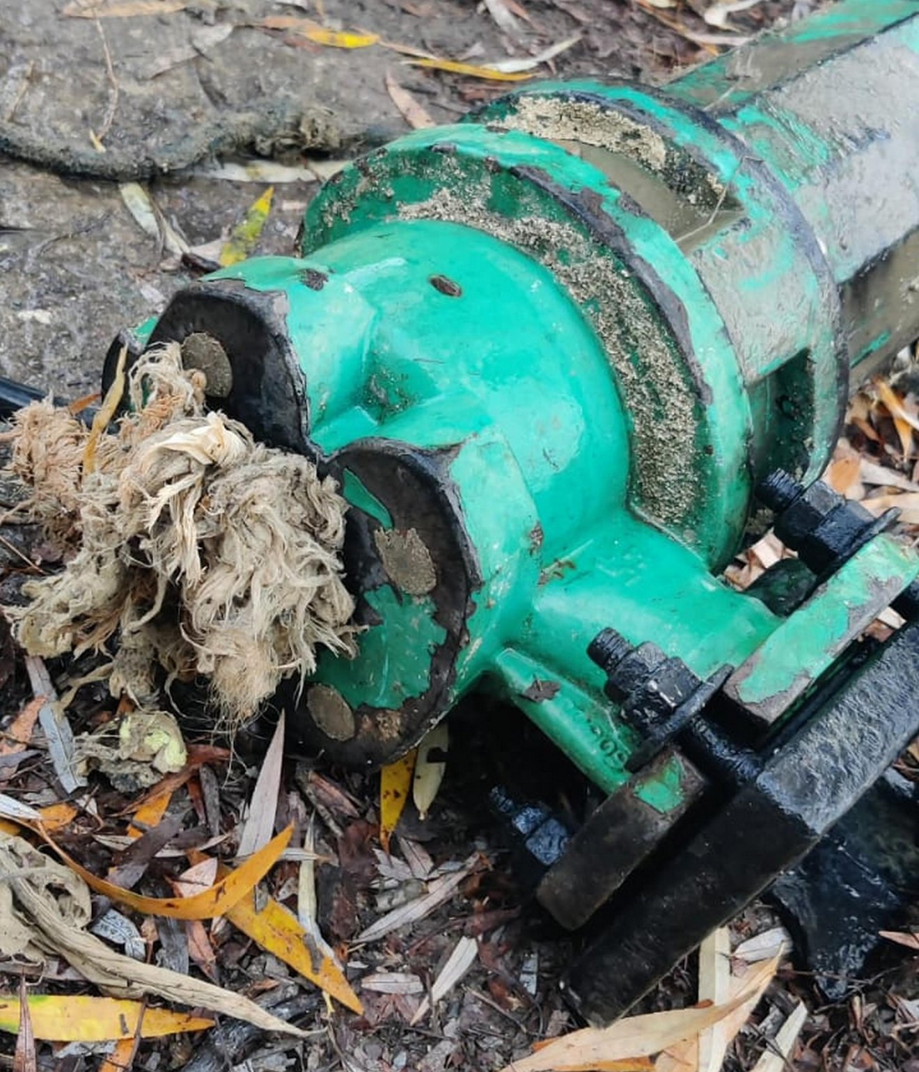 Egy pumpa ára a 15 ezer lejt is elérheti, ha cserére szorul