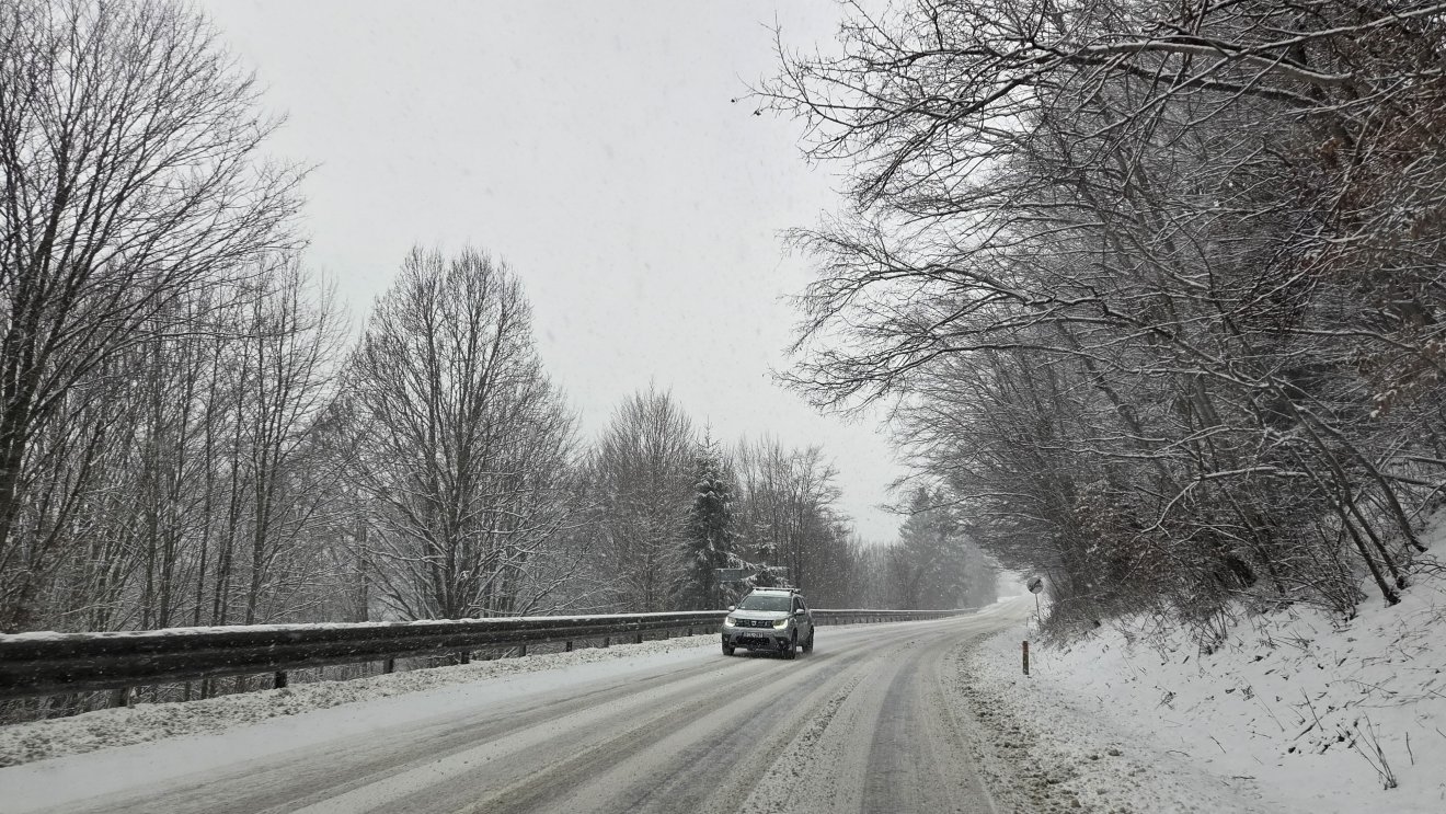 &bullet;  Fotó: Bálint István