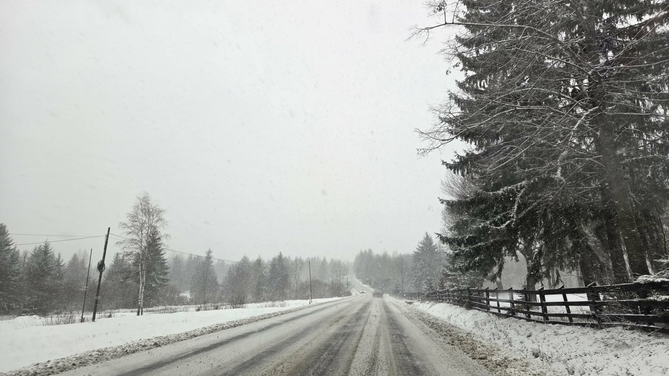 &bullet;  Fotó: Bálint István