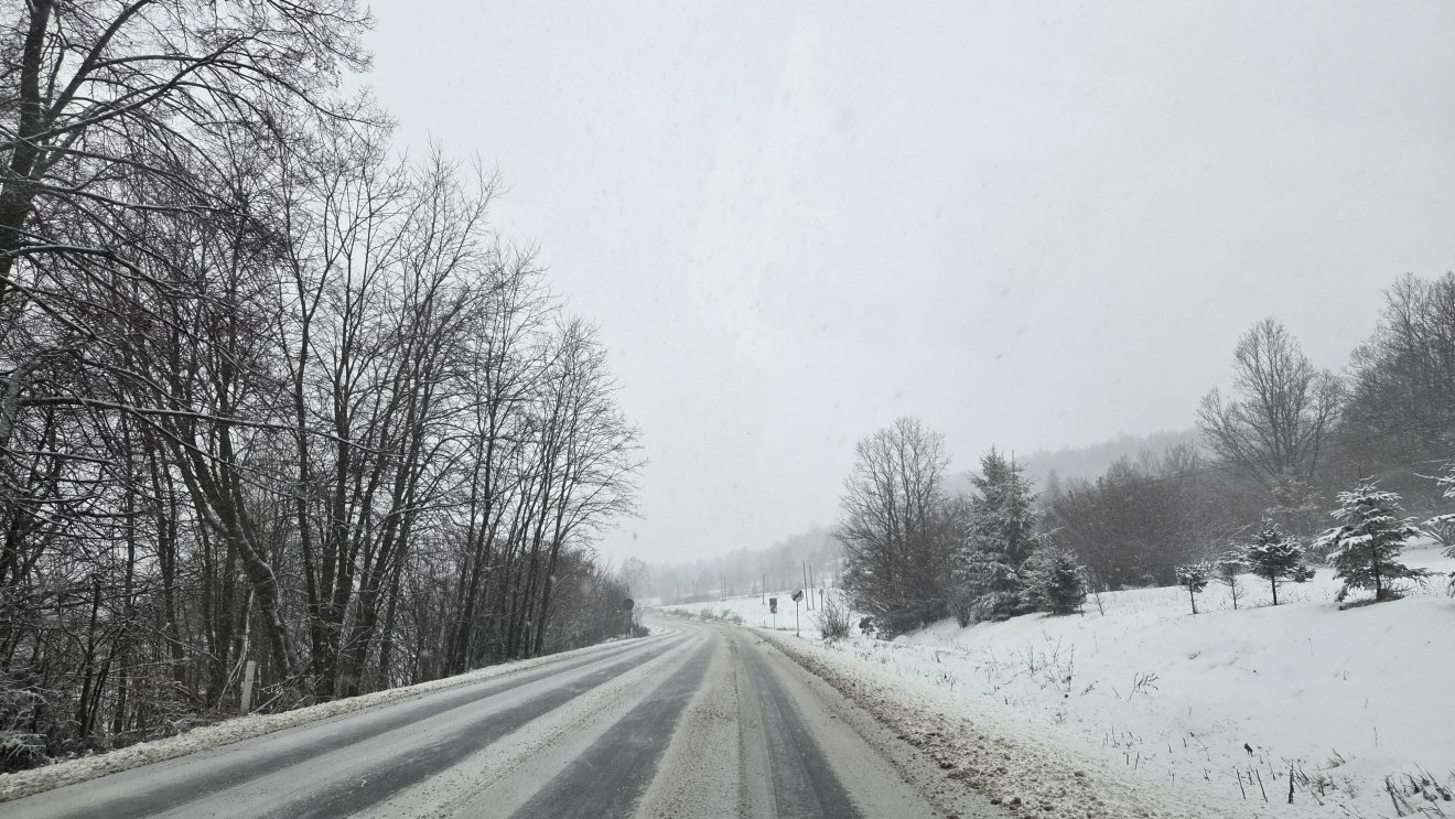 &bullet;  Fotó: Bálint István