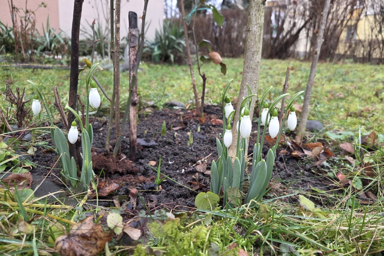 &bullet;  Fotó: Székelyhon