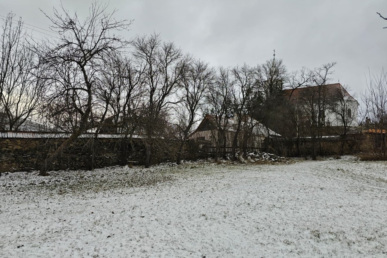 Nemrég a templom melletti fásszín vált a lángok martalékává &bullet;  Fotó: Kozán István