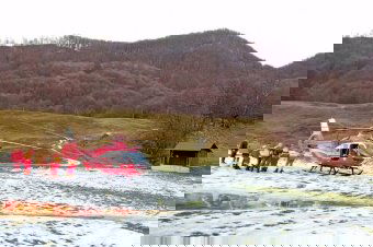 Vaddisznó támadt egy emberre, sok vért veszített az áldozat