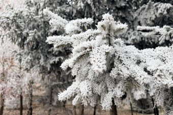 Szilveszterkor mindenhol fagyra kell számítani, van, ahol havazni is fog