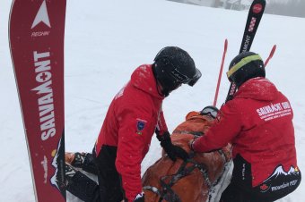 Végzetes nap a hegyekben: egy halott, több tucat sérült