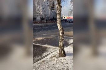 Furcsa jelenség Csíkszeredában: mintha pontokban havazna – videóval