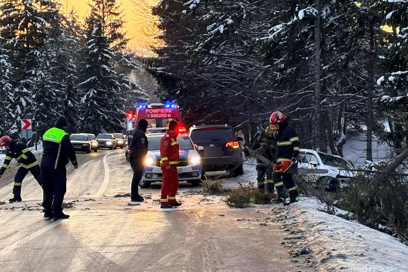 Baleset történt Kalibáskő közelében, egy autó a fák közé sodródott