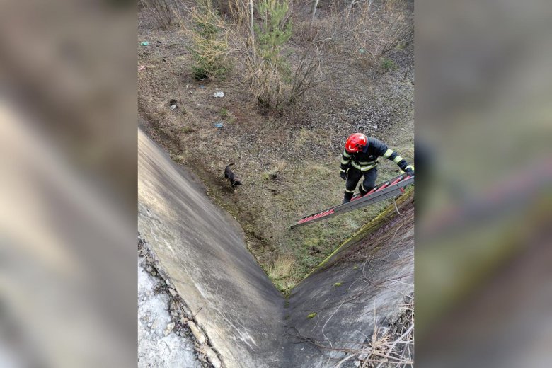 Tíz méter mélybe zuhant kutyát mentettek meg a tűzoltók
