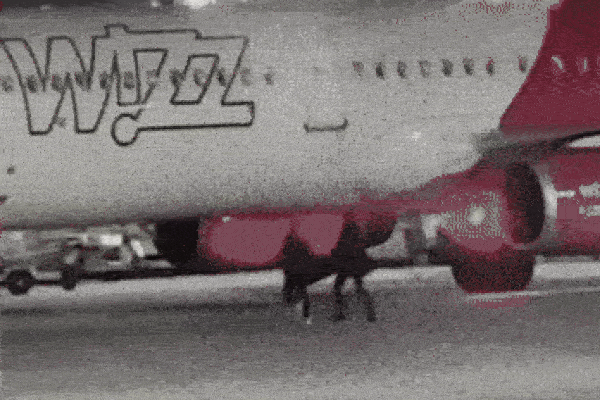 Az induló repülőgépet akarta lestoppolni két késésben lévő román utas – videóval