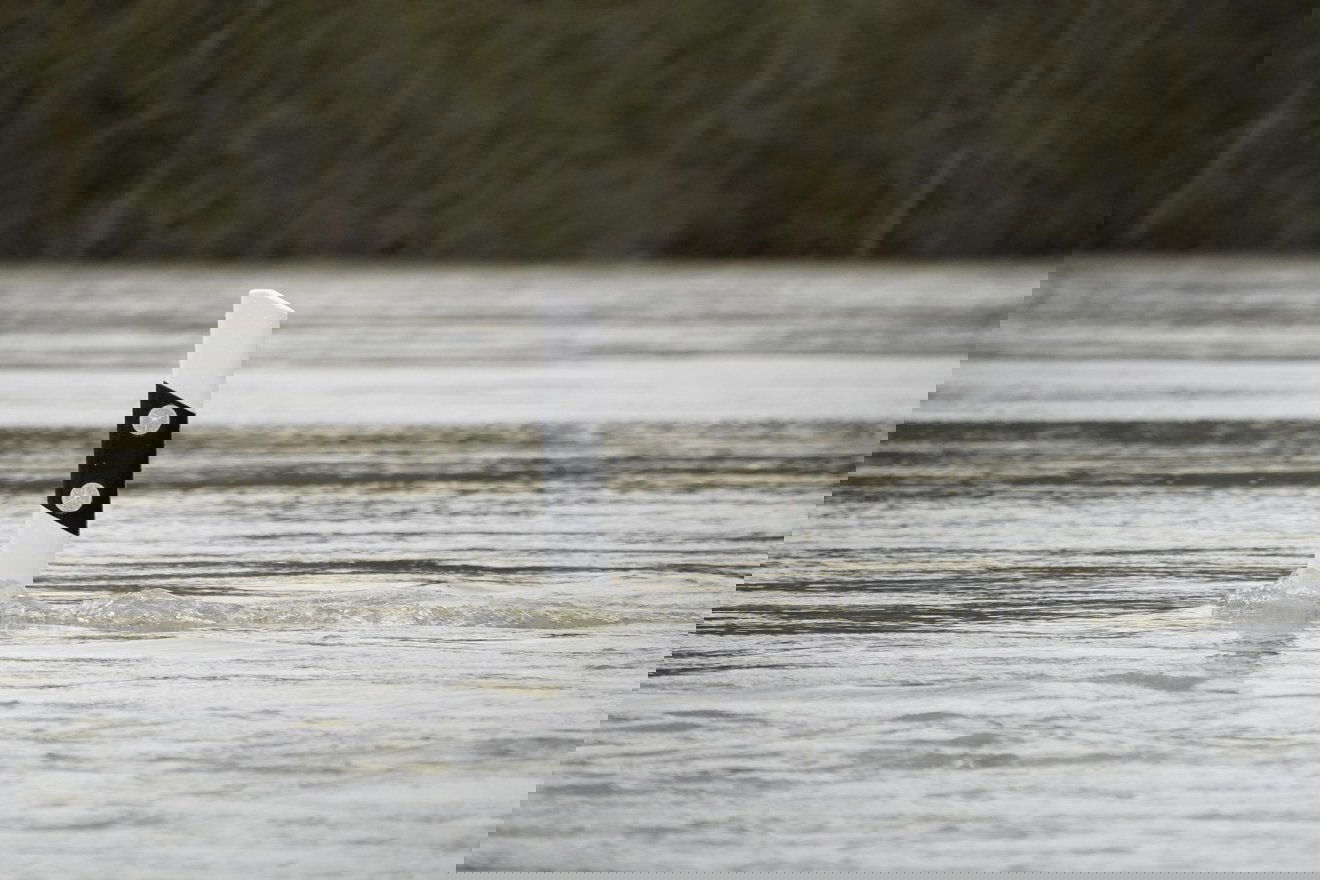 Képünk illusztráció &bullet;  Fotó: Pixabay