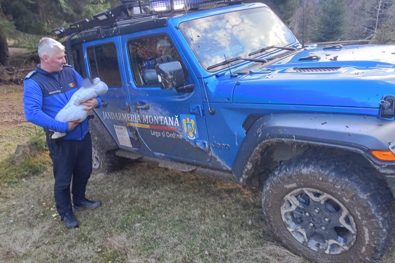 •  Fotó: Brassó megyei csendőrség