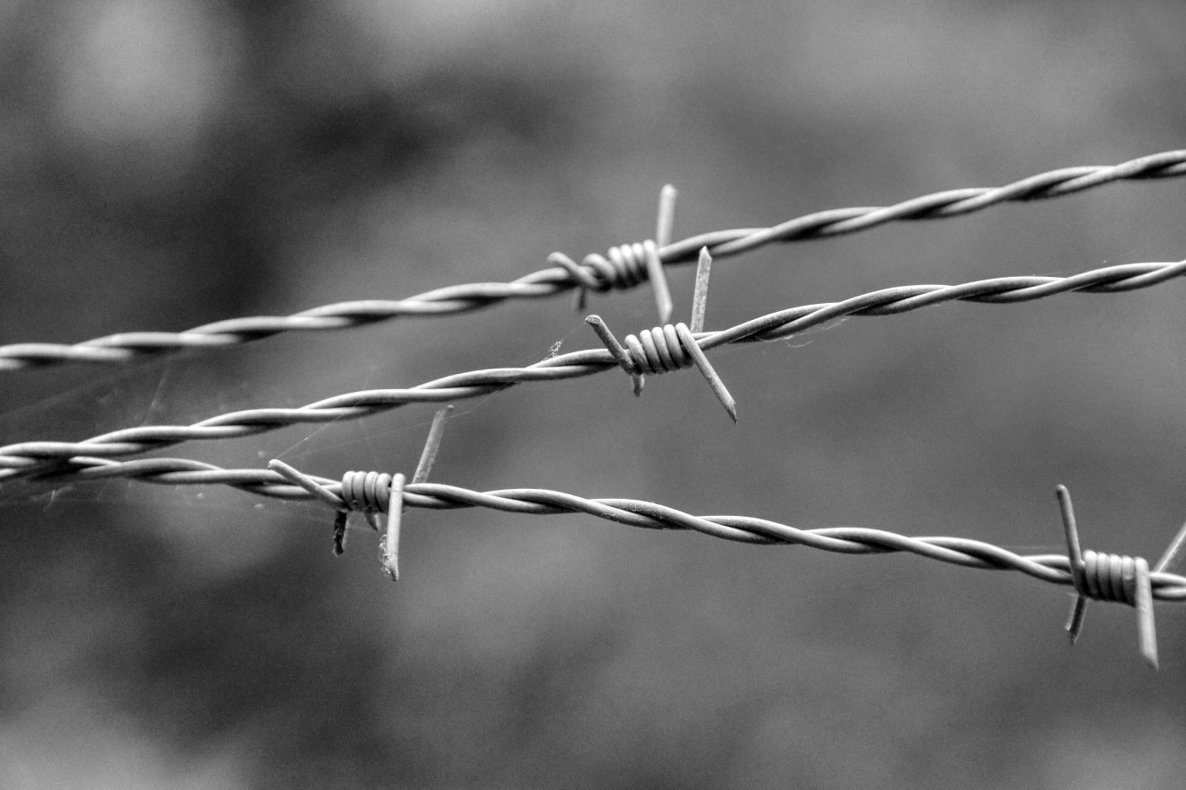 Képünk illusztráció • Fotó: Pixabay