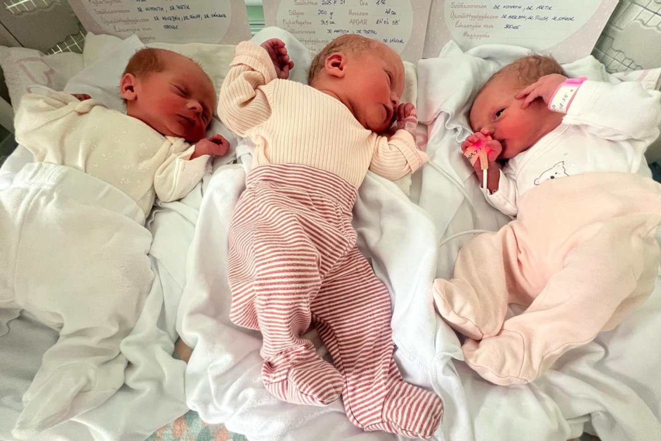 •  Fotó: Csíkszeredai Megyei Sürgősségi Kórház