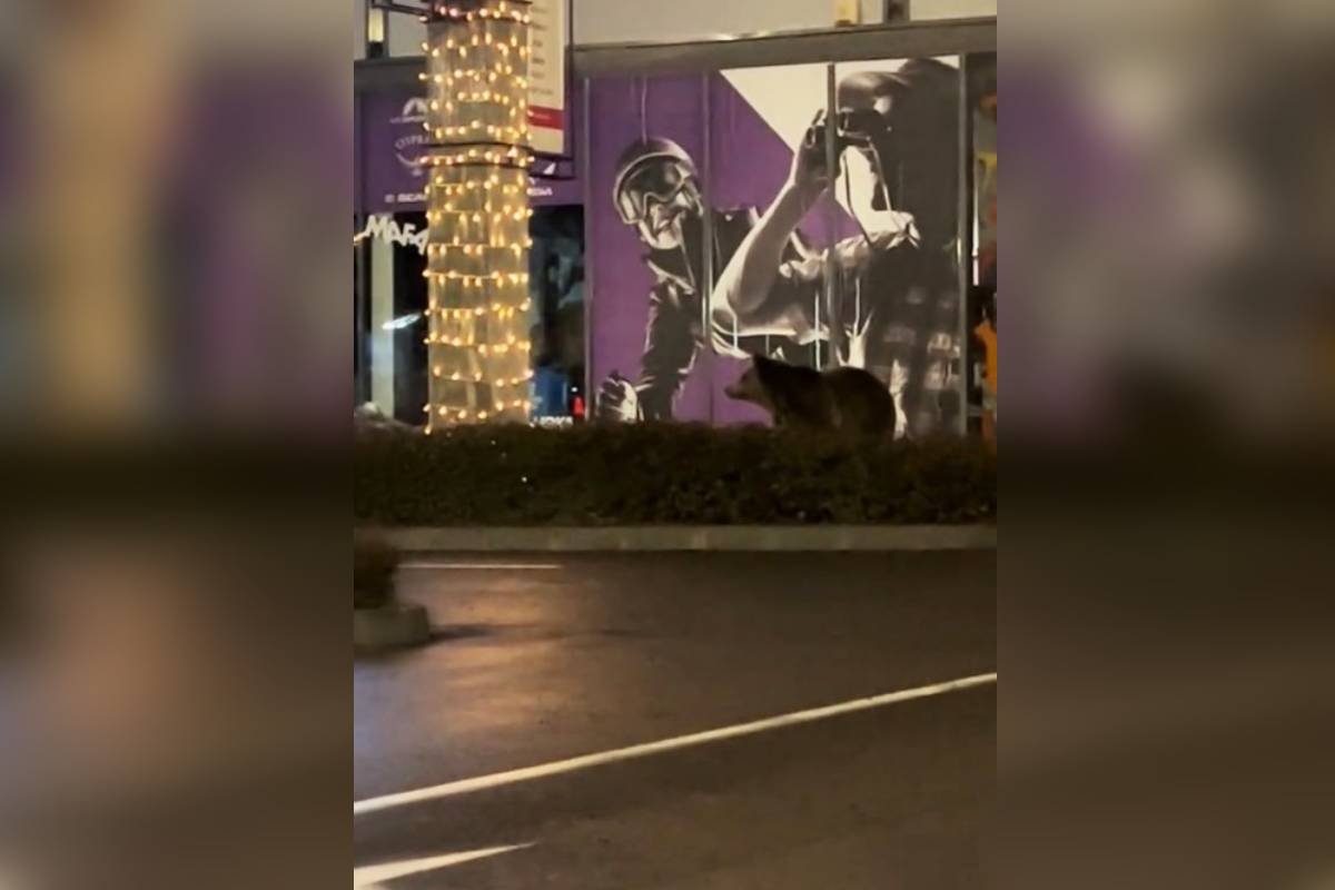 •  Fotó: Facebook/Brasov cel mai frumos oras din Romania