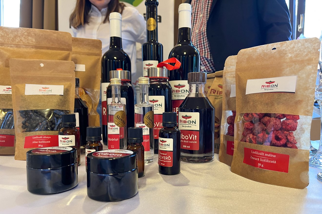 •  Fotó: Pro Economica Alapítvány