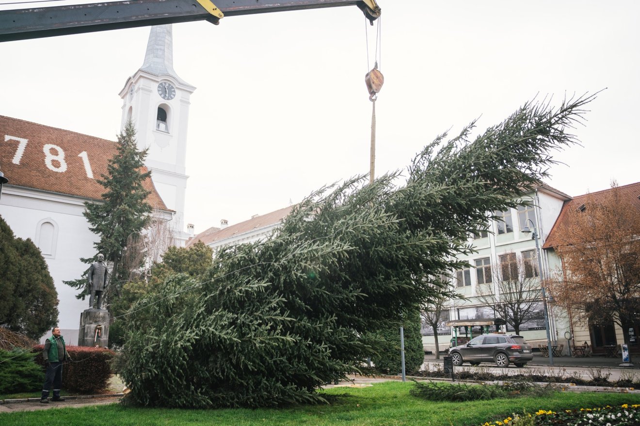 Kedden állították fel a város karácsonyfáját &bullet;  Fotó: Szakács-Paál István/Facebook