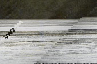 Árvízvédelmi készültséget rendeltek el székelyföldi folyókra is