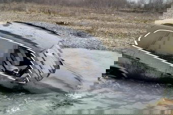 Folyóba hajtva próbált elmenekülni a rendőrök elől egy férfi Neamț megyében