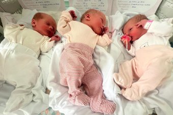 Hármas ikrek születtek a csíkszeredai kórházban