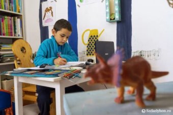 Nincs értelme annak, amikor a házi feladatot a szülő készíti el