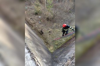 Tíz méter mélybe zuhant kutyát mentettek meg a tűzoltók