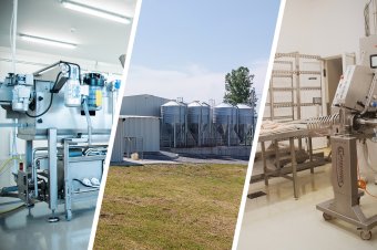 A gazdák, kisvállalkozások és élelmiszeripari márkák sikertörténete: így segít a Pro Economica Alapítvány az erdélyi vállalkozói közösségen