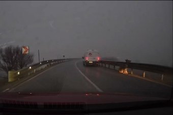 Elütötték a szelíd szarvasünőt Csíkszereda közelében – állatorvos vizsgálja a sérüléseit