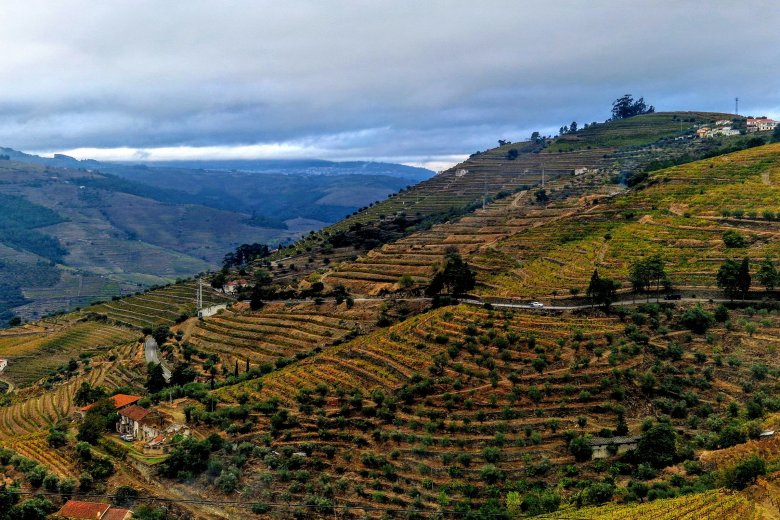 Borvidék, mely a világűrből is látszik